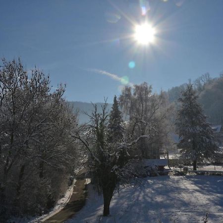 Haus Reichenbach Lägenhet Glottertal Exteriör bild