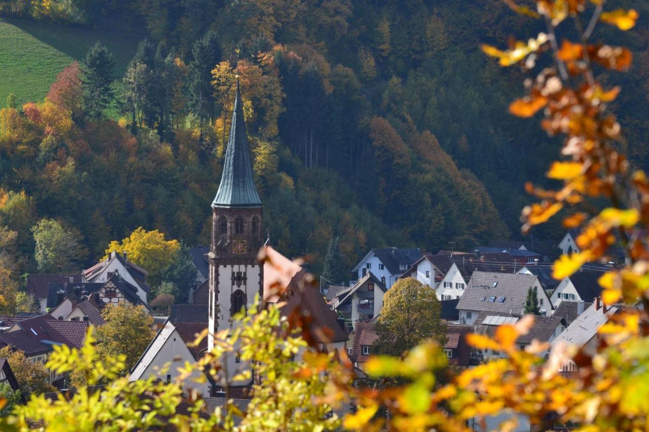 Haus Reichenbach Lägenhet Glottertal Exteriör bild